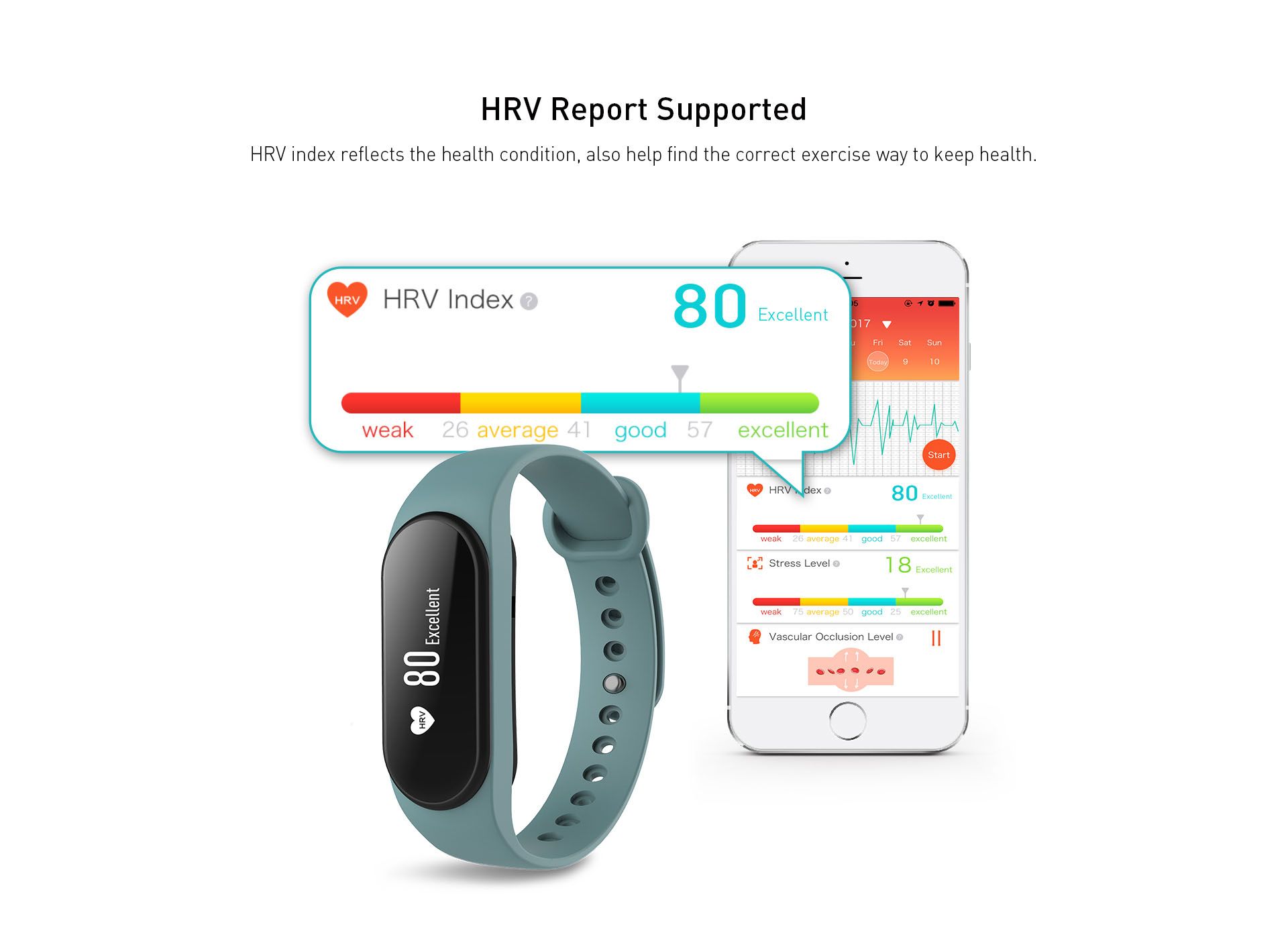 All-day Activity Tracking<br>