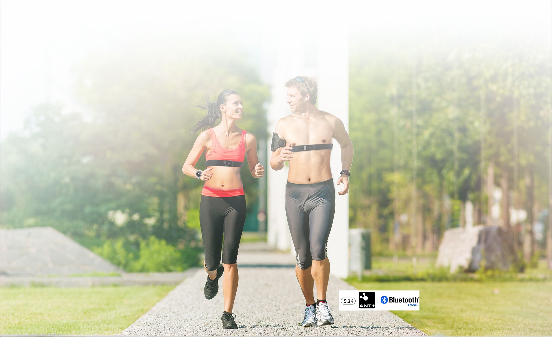 ECG Heart Rate Belt <br> Model: B031