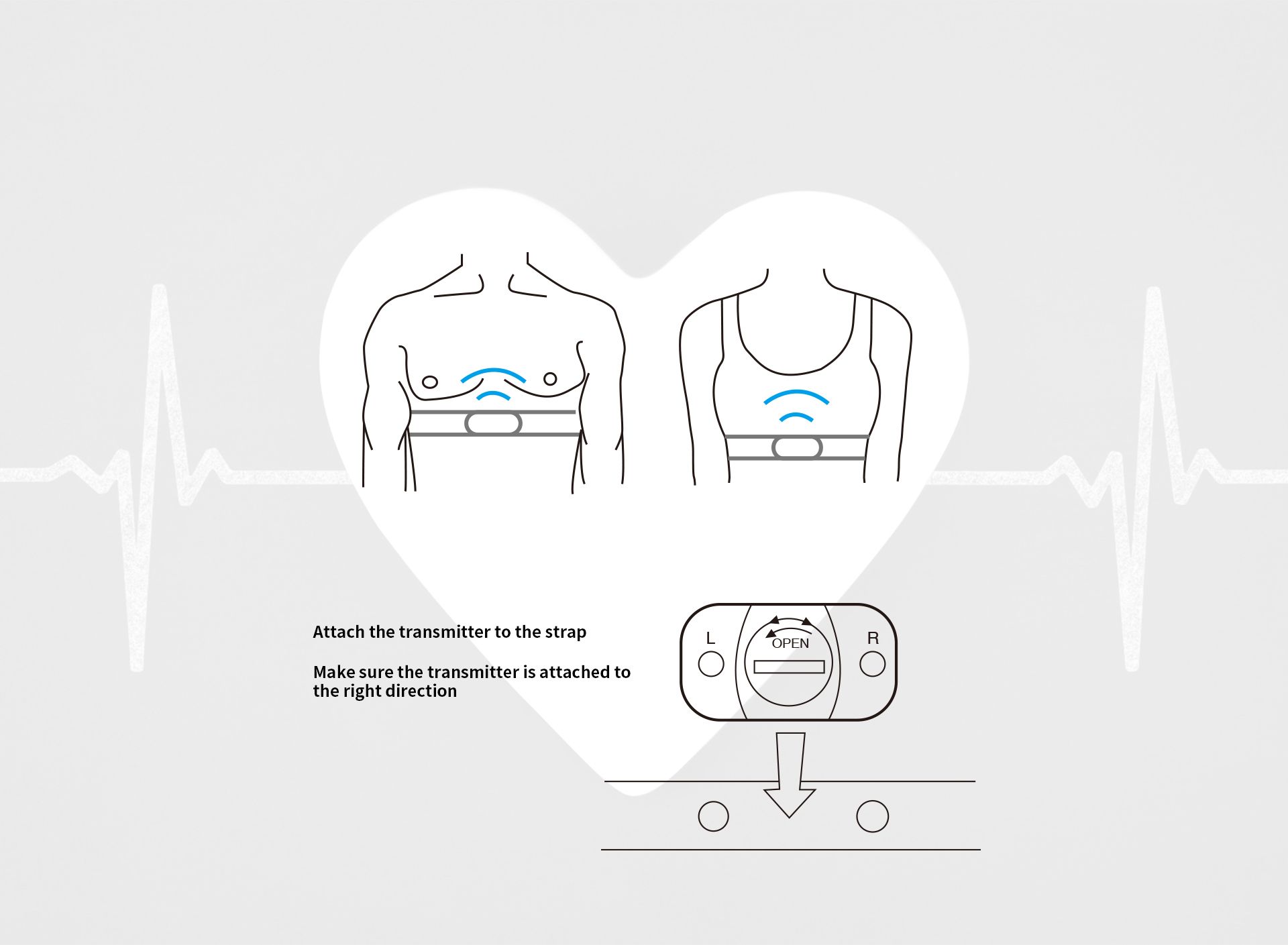 How to Wear the Heart Rate Belt