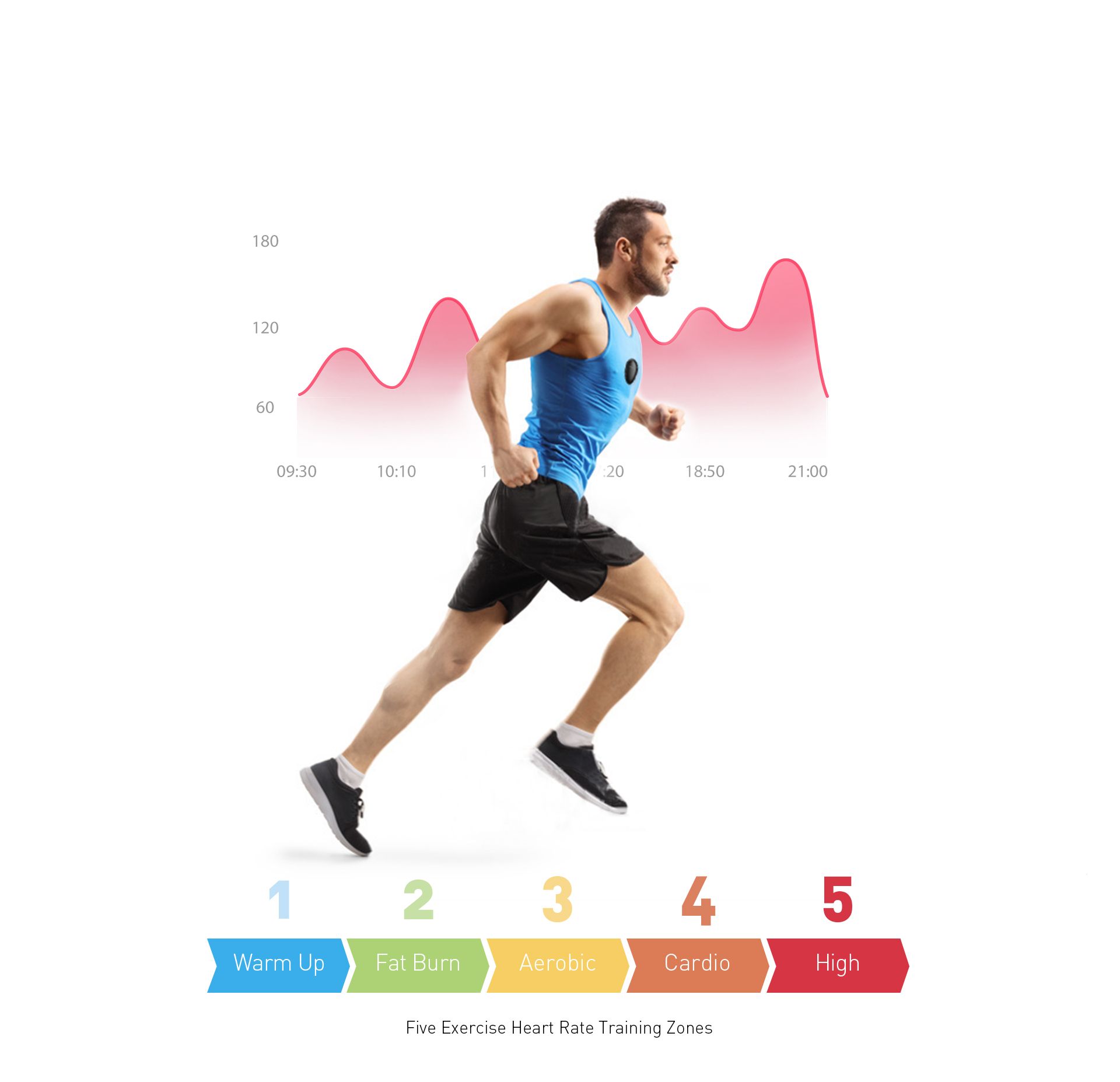 Exercise heart rate monitoring