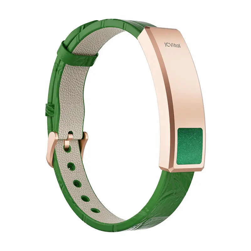 JCVital Aura V10 Smart Bracelet